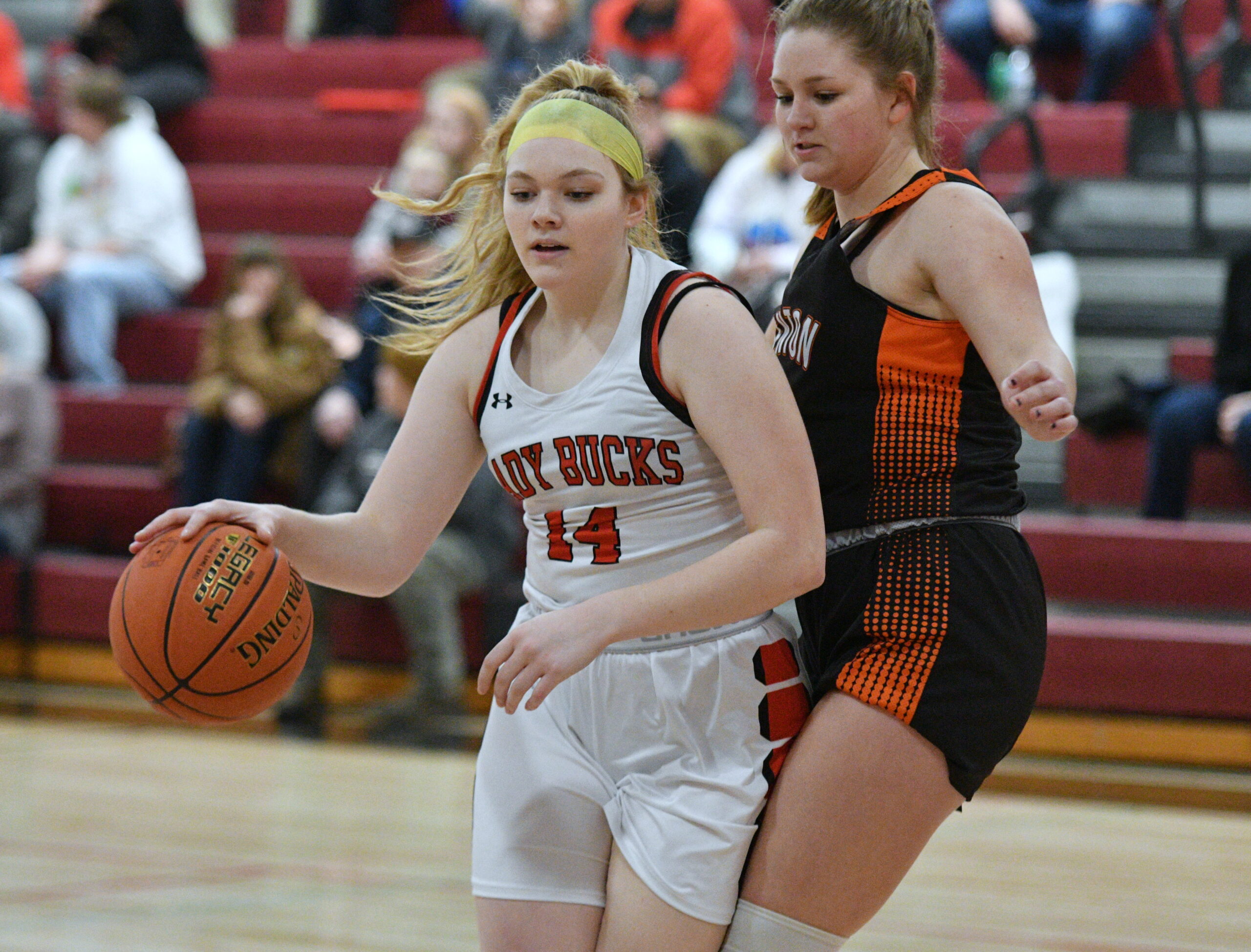 Lily Francis The Record Online