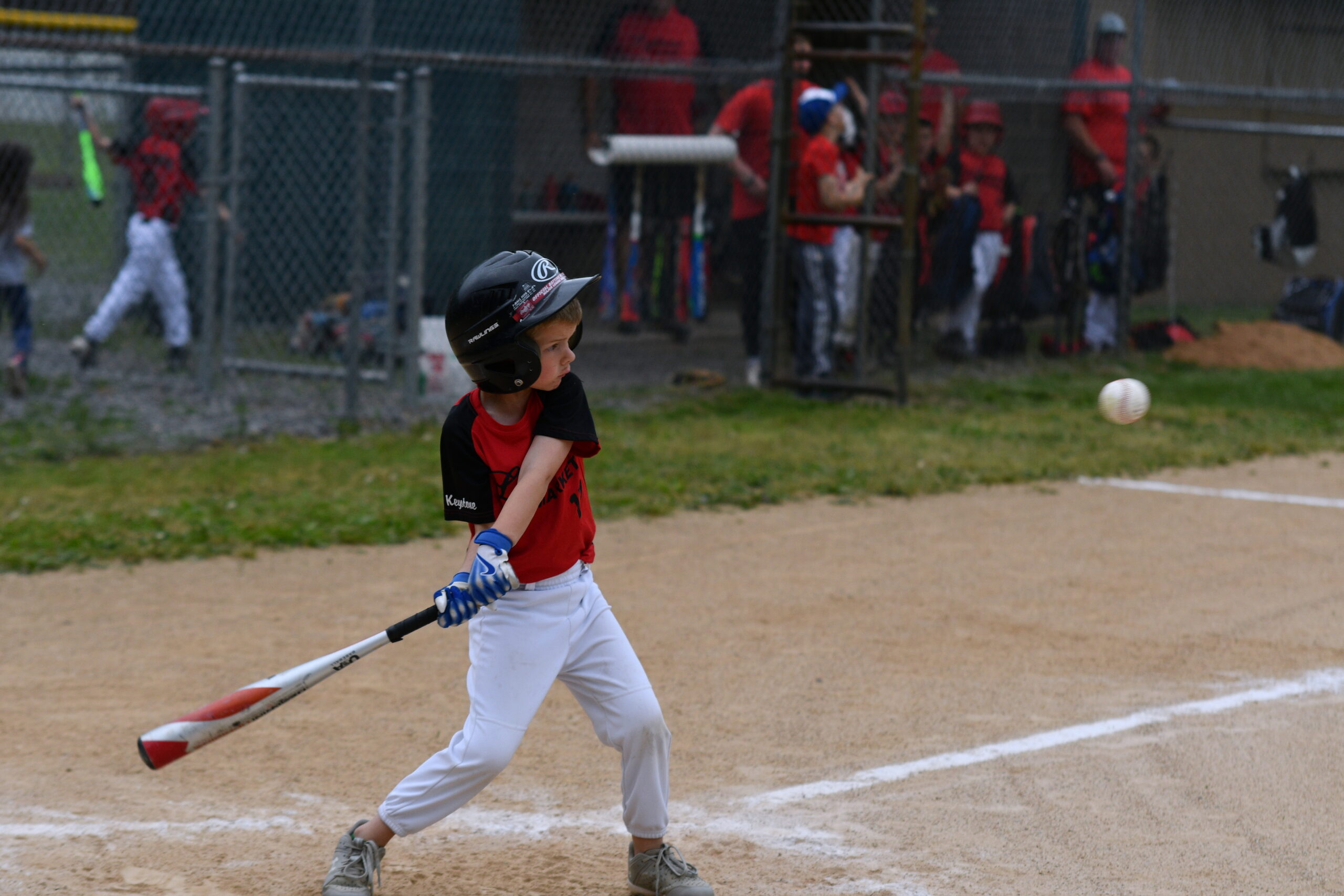 Cason Bitner Lykens Market The Record Online